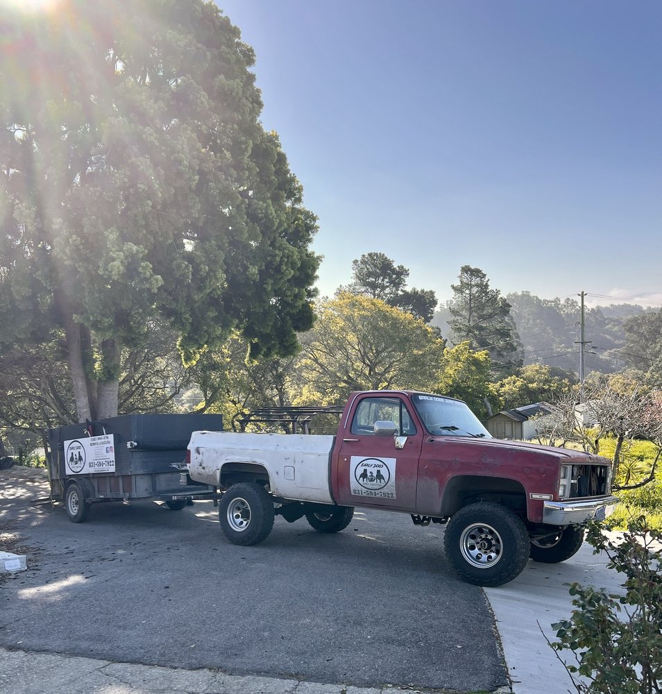 Early dogs junk removal