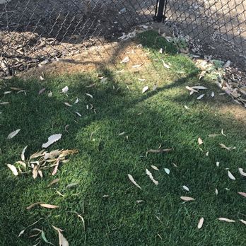 Green View Landscape Tree Service 339 Photos 143 Reviews Photo Of Green View Landscape Tree Service Escondido Ca United States