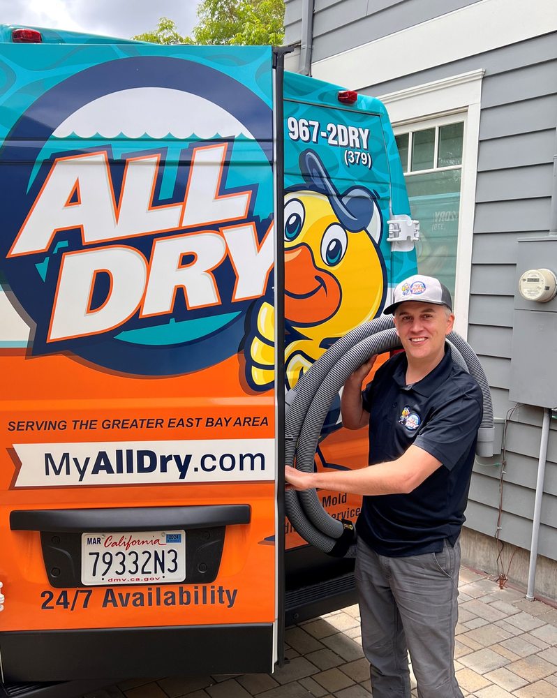 All Dry Services of the East Bay