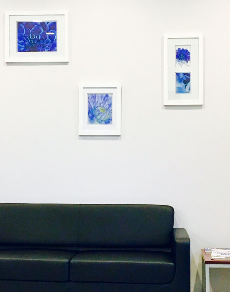 VETERINARY EYE SPECIALISTS Veterinarians 620 Commerce St, Thornwood