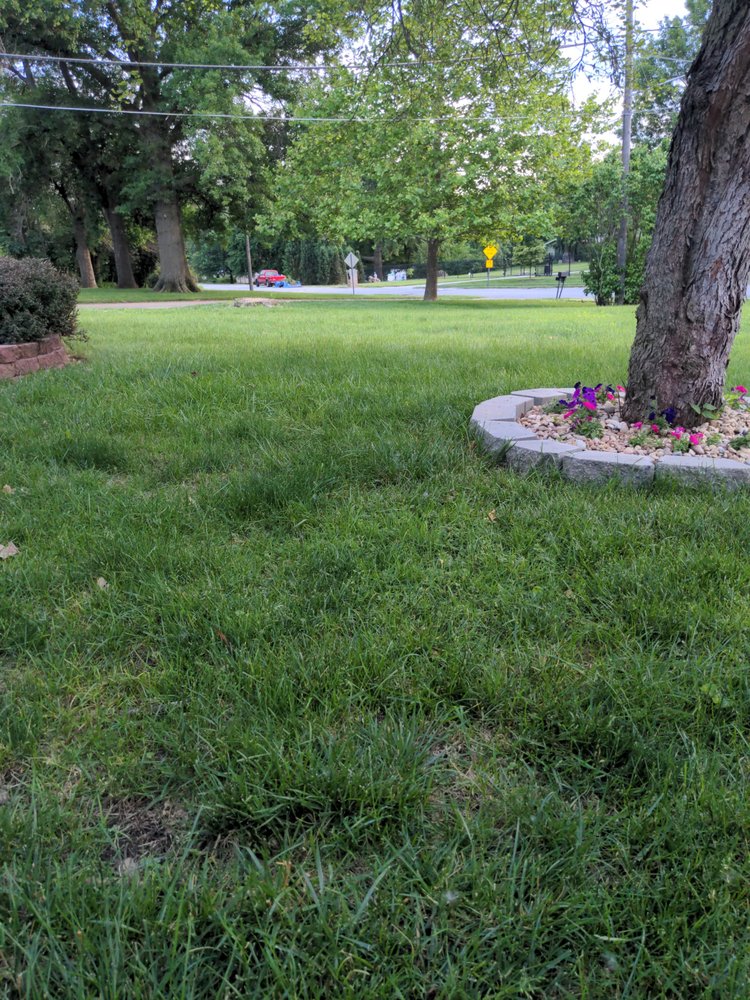 Lawn Love Lawn Care
