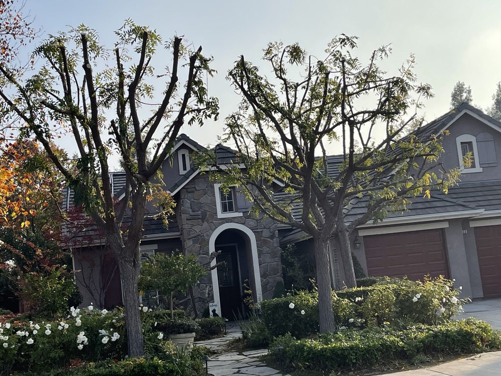 Tree Maniac Tree Service