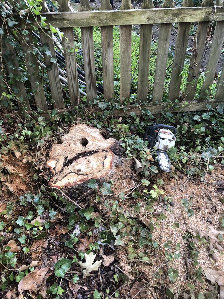 Wheeley Tree Service