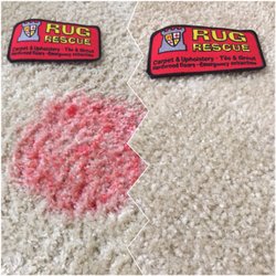 Rug Rescue Carpet Upholstery Cleaning 156 Photos