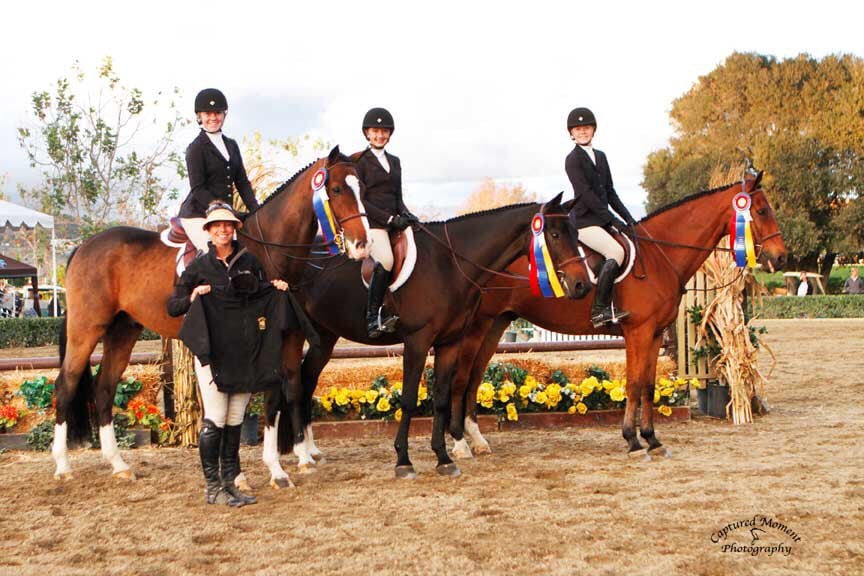 Photos For Black Star Equestrian Yelp Photo Of Black Star Equestrian Huntington Beach Ca United States