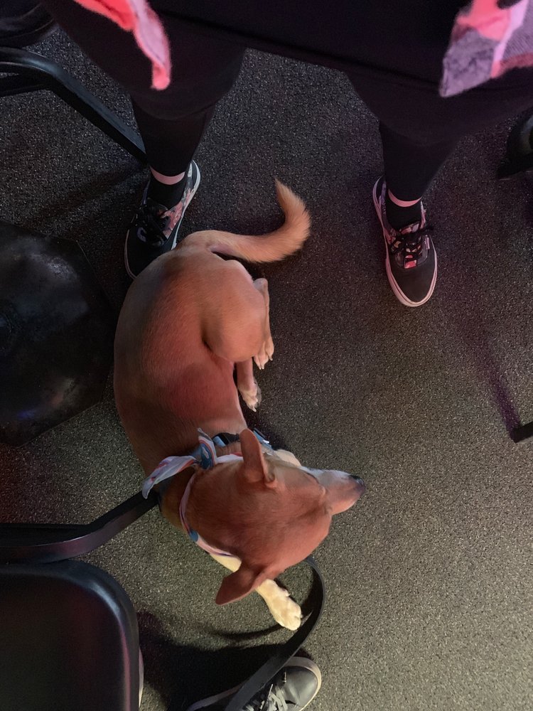 O