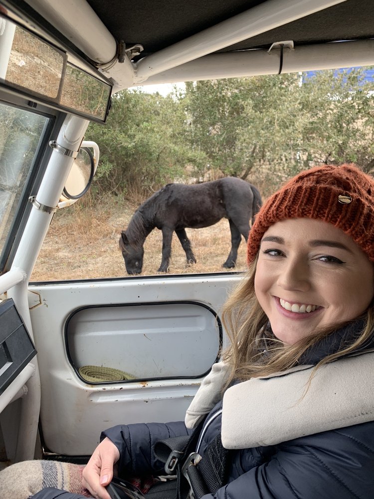 Good Vibrations Beach Rides