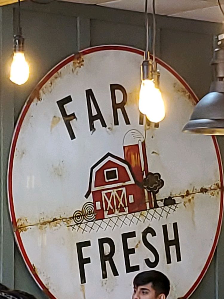 First Watch