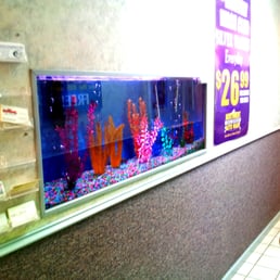 Automotive Detailing Near Me >> Northwest Auto Wash & Detail Center - 10 Photos & 27 Reviews - Car Wash - 900 W Euclid Ave ... Automotive Detailing Near Me >> Northwest Auto Wash & Detail Center - 10 Photos & 27 Reviews - Car Wash - 900 W Euclid Ave ...