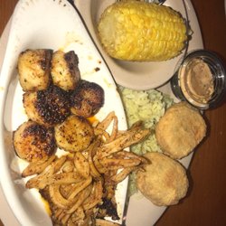 Seafood Restaurants In Crystal River Florida Best Crystal River Seafood Restaurant 65 Photos 50 Reviews