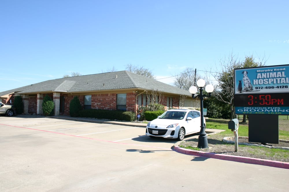 Murphy Road Animal Hospital 12 Reviews Veterinarians 6114 Murphy Rd, Sachse, TX Phone