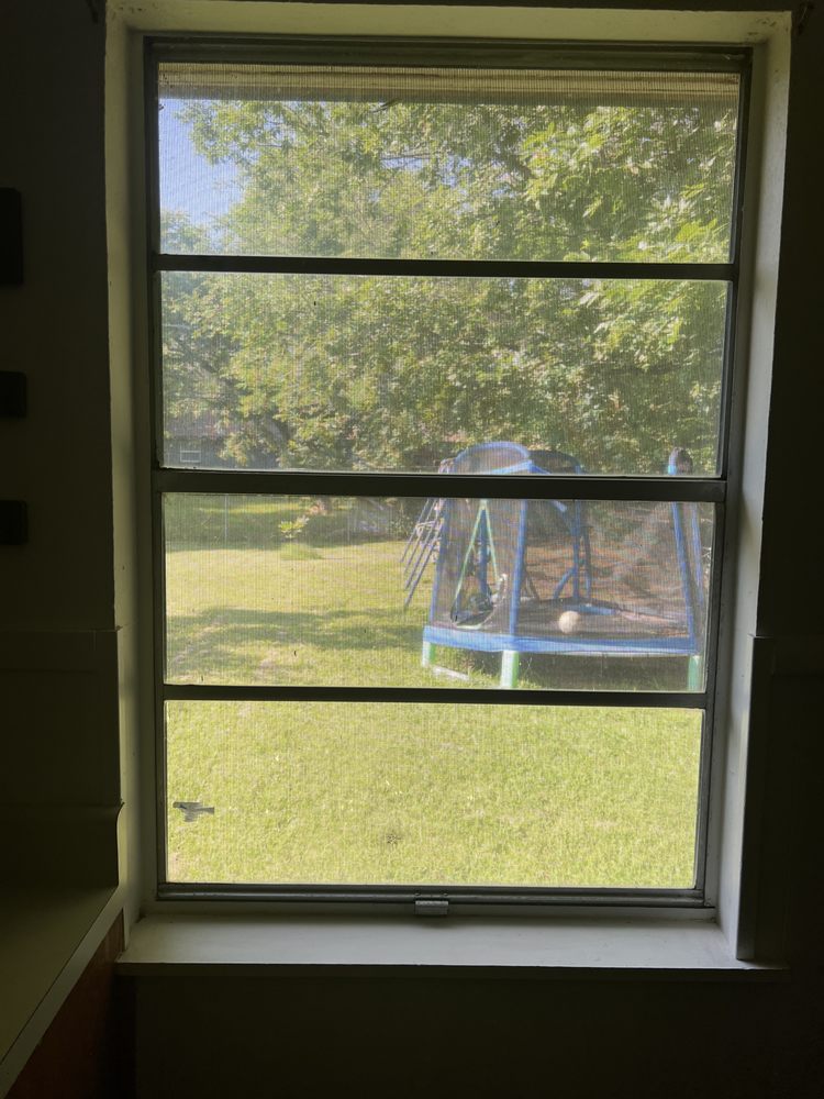 King's Window Services