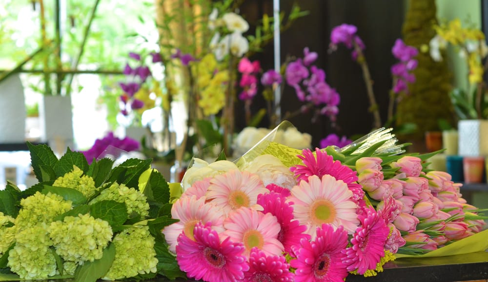 Lane Florist 13 Photos & 20 Reviews Florists 6616 Snider Plz, Dallas, TX Phone Number Yelp