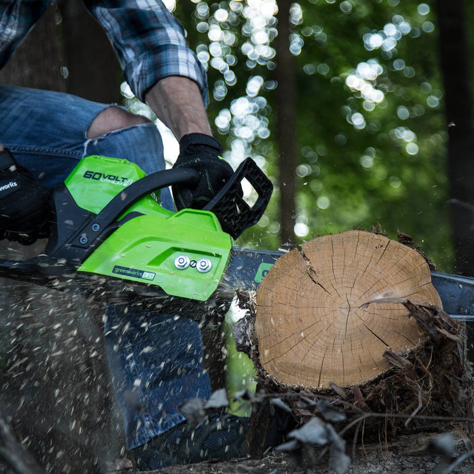 Restore Earth Ecoservices