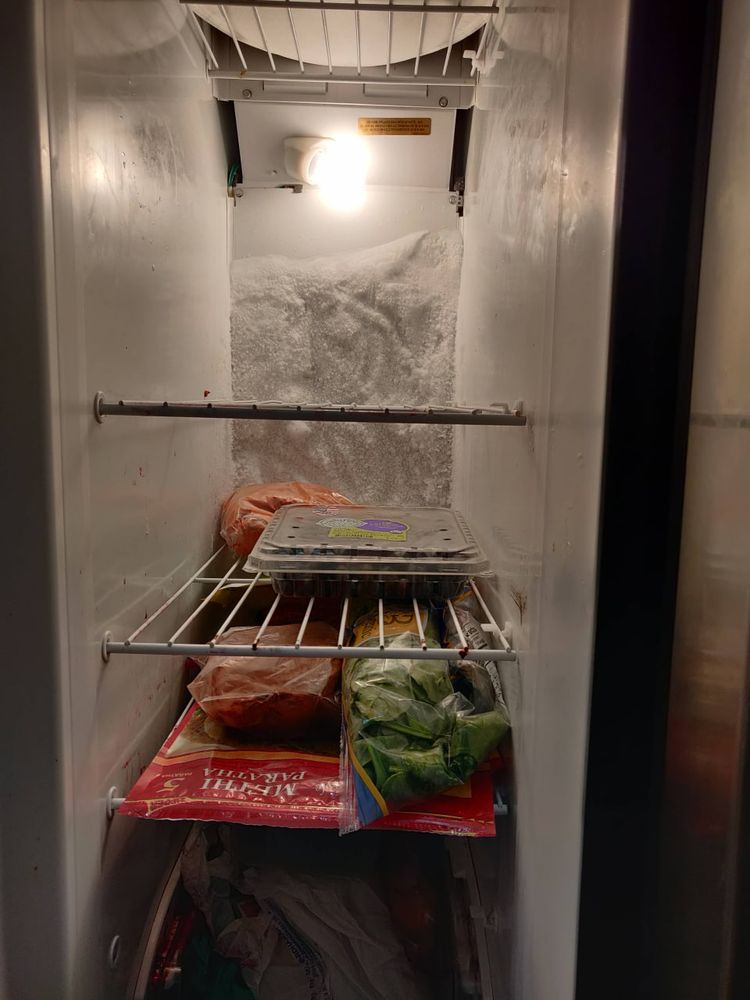 Evergreen Appliance Repair