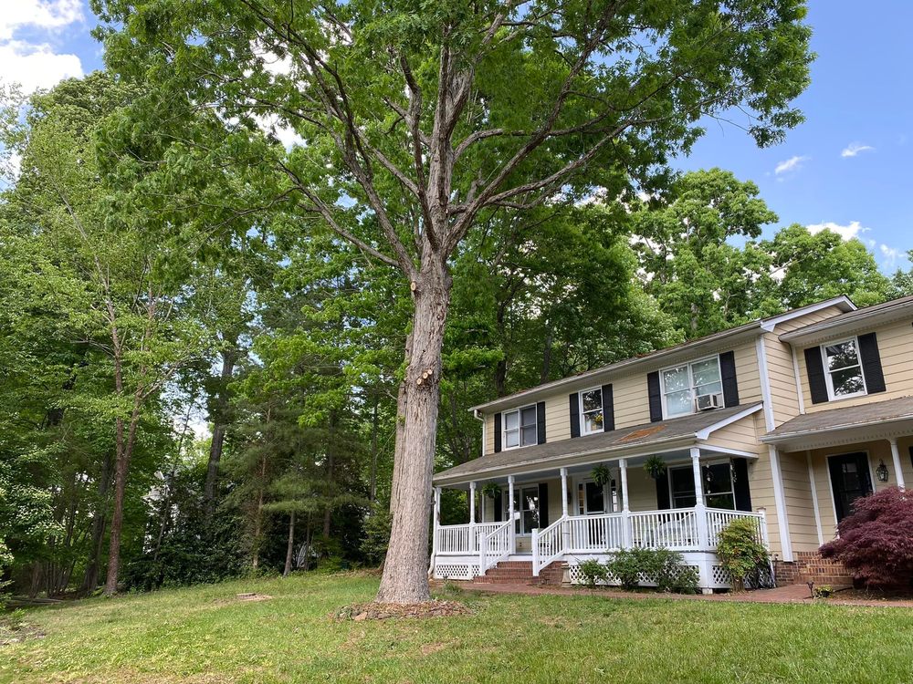 Blue Oaks Tree Service