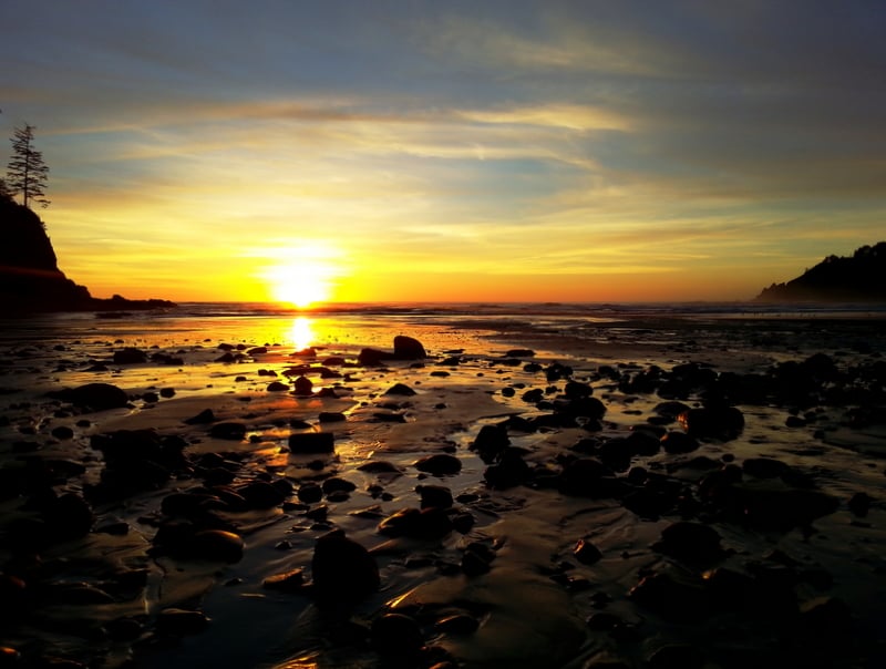 Oswald West State Park 118 Photos & 24 Reviews Parks 41575 Hwy