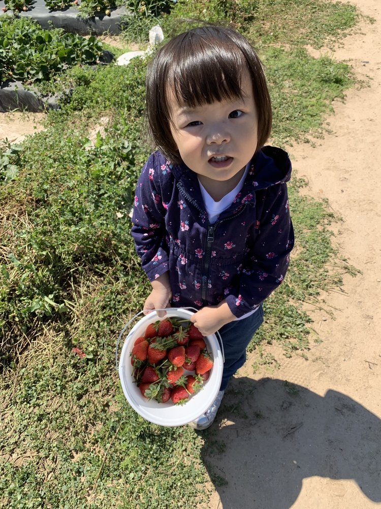 Froberg's Farm