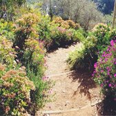 amirs garden closed 195 photos 51 reviews parks griffith park griffith park los angeles ca phone number yelp - Amirs Garden amirs garden closed 195 photos 51 reviews parks griffith park griffith park los angeles ca phone number yelp - Amirs Garden