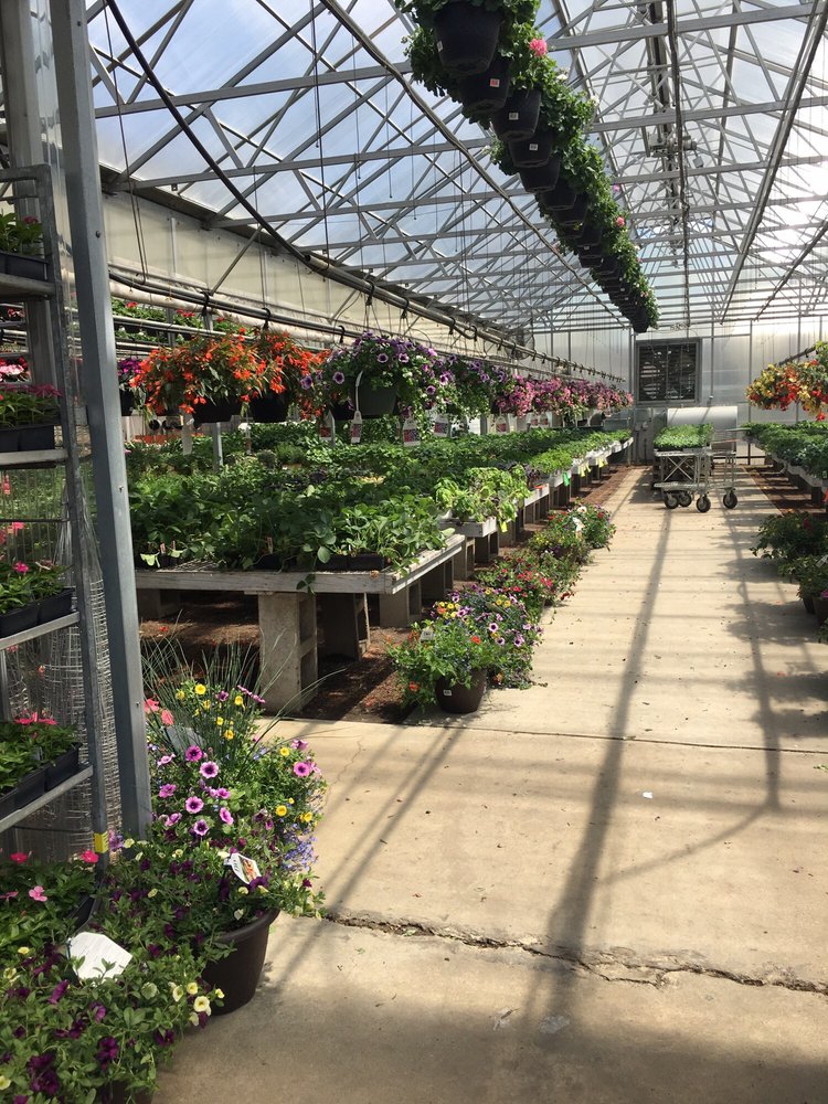 Dom's Garden Center
