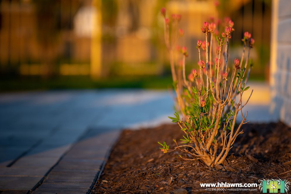 H & H Lawn and Landscape