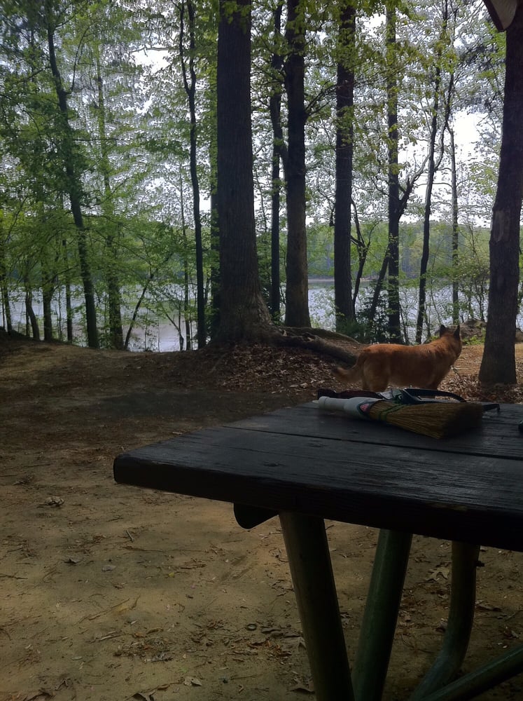 Dog Friendly Canoe Rentals Near Me Dog Friendly Canoe Rentals Near Me