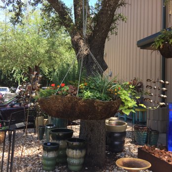 Countryside Nursery And Landscape 55 Photos 46 Reviews Photo Of Countryside Nursery And Landscape Austin Tx United States