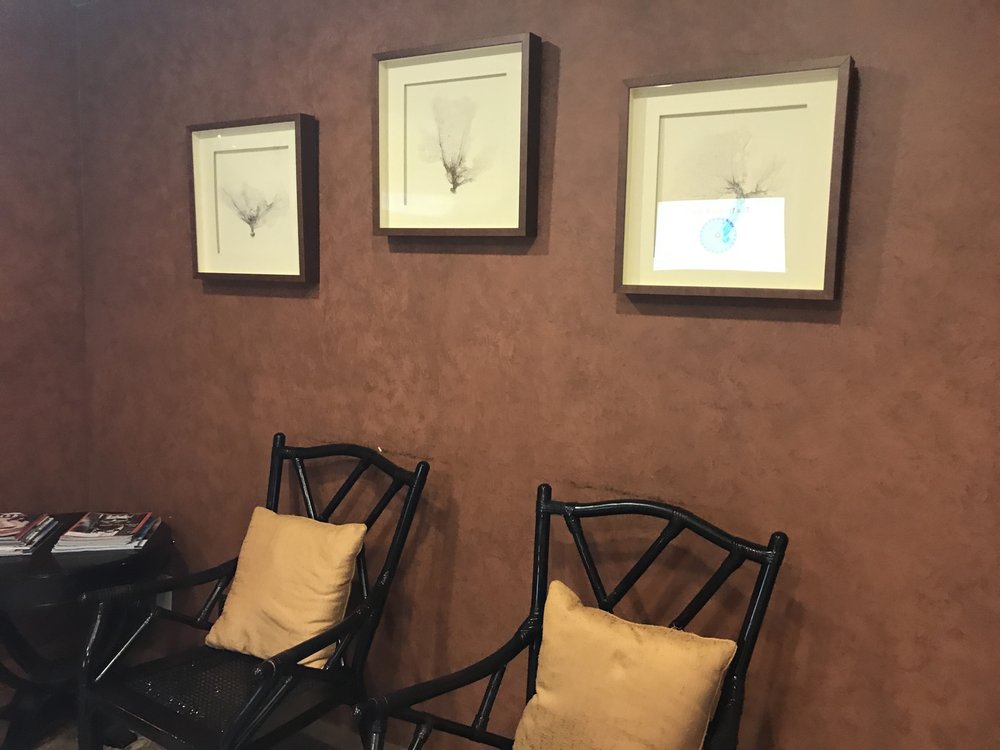 image of business Barbara J Mizell, DMD