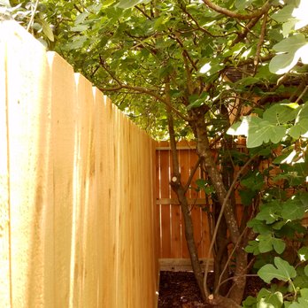 Texas Apache Fence 11 Photos Fences Gates Richmond Tx Photo Of Texas Apache Fence Richmond Tx United States Our Yard Has