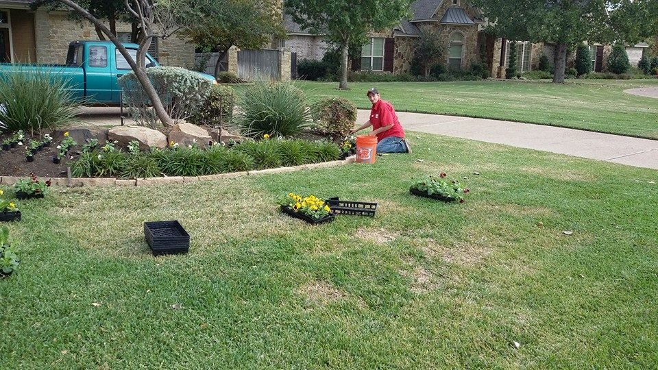Trimmers Lawn Service