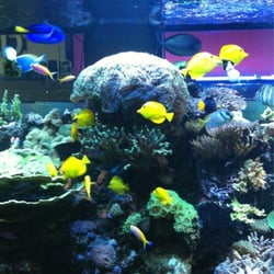 top 10 best aquarium