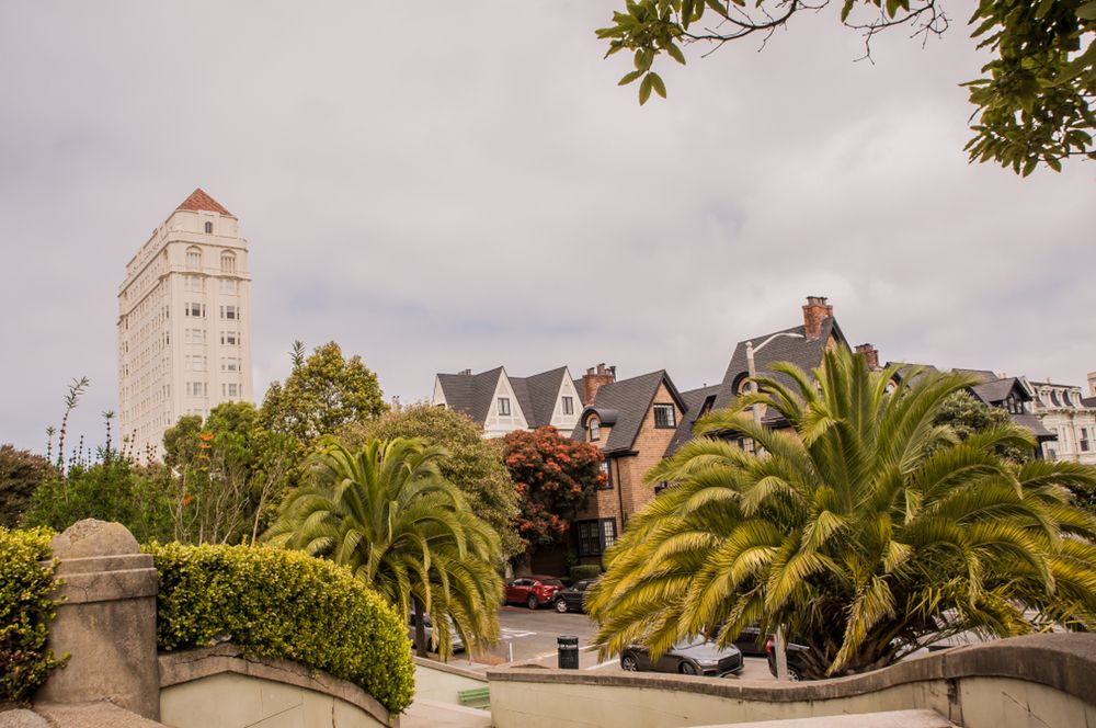 image of business Pacific Heights Dental Studio