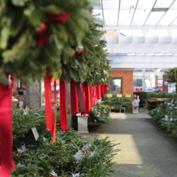 Photo Of Cedar Grove Christmas Trees Photo Of Cedar Grove Christmas Trees
