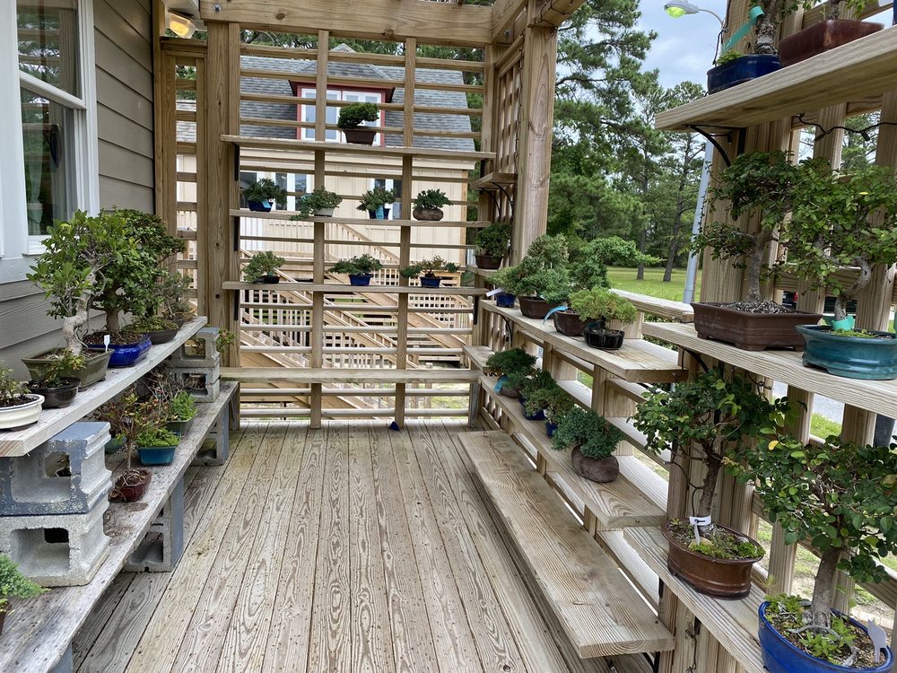 Silver Bonsai Gallery