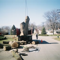 Tree Service Sturtevant  Photo of Cassity Tree Service - Sturtevant, WI, United States. Tree removal with