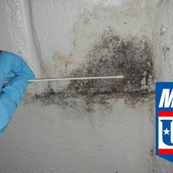 Mold Test Usa Environmental Testing 1101 1st St S Ext Columbia Photo Of Mold Test Usa Columbia Sc United States Testing And