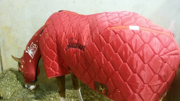 Sue's Sewing & Embroidery