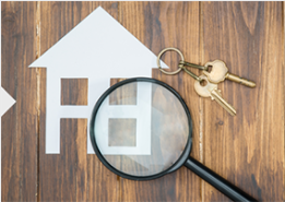 DeTect Termite & Moisture Service and The Brickkicker