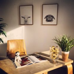 stager m 182 photos home staging newark ca phone number yelp