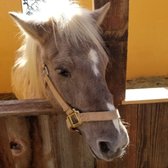 Fog Willow Farms - Temp. CLOSED - 119 Photos & 72 Reviews - Attraction