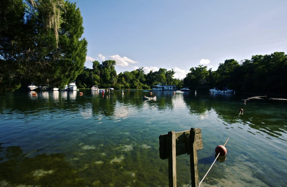 Silver Glen Springs 112 Photos & 16 Reviews Parks 5271 Florida 19