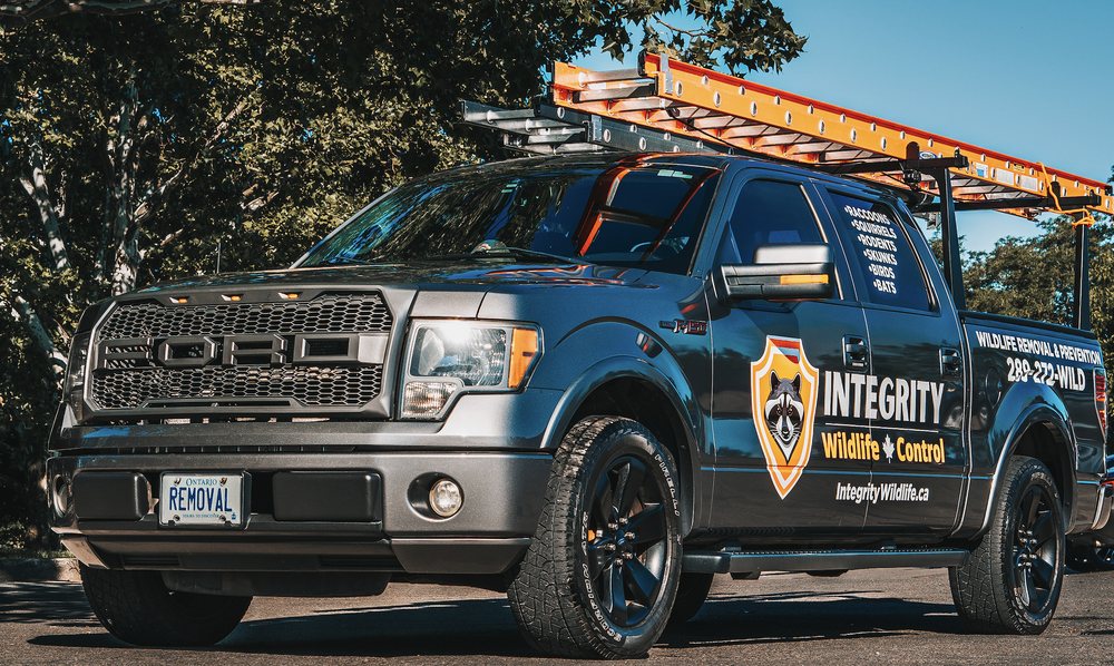 Integrity Wildlife Control