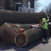 Boot Road Tree Service Services 34 Reeceville Rd Photo Of Boot Road Tree Service Coatesville Pa United States