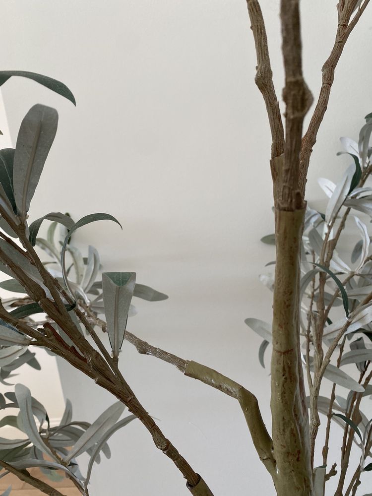 Molly Maid of Chapel Hill