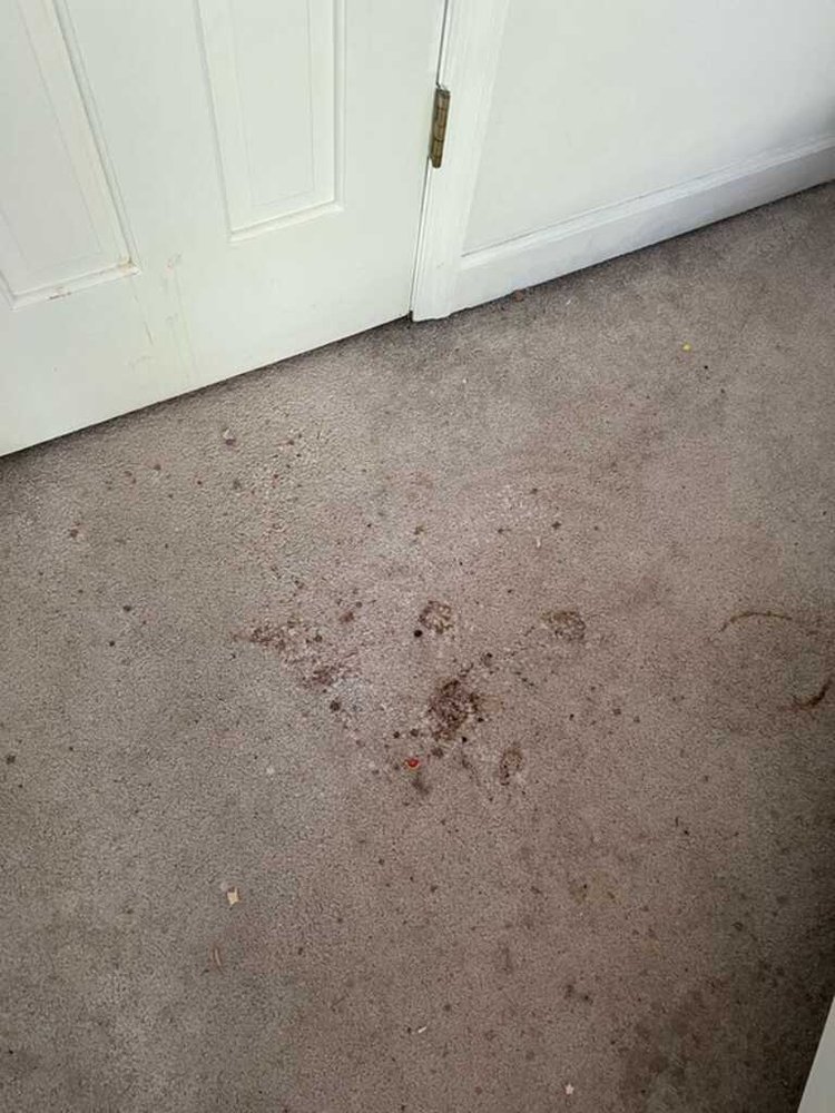 Ann Marie's Cleaning Service