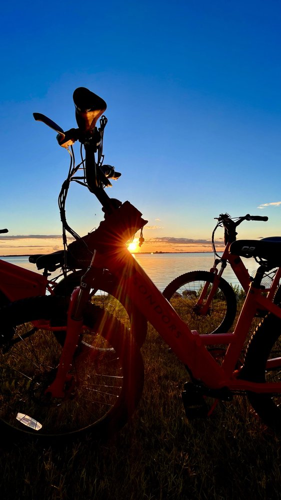 Tampa Bay eBikes