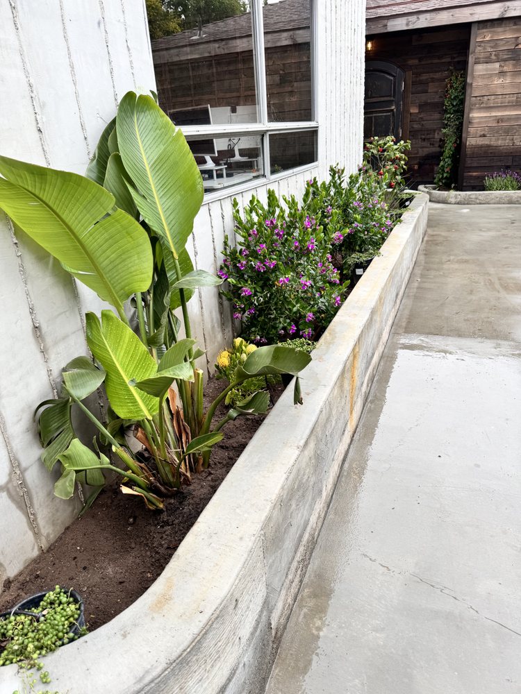 Casa Verde Landscaping & Garden Service