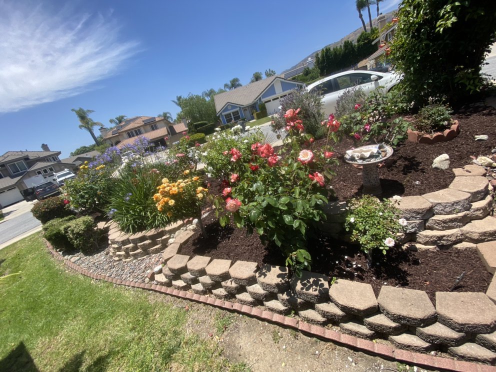 Guerrero’s Gardening
