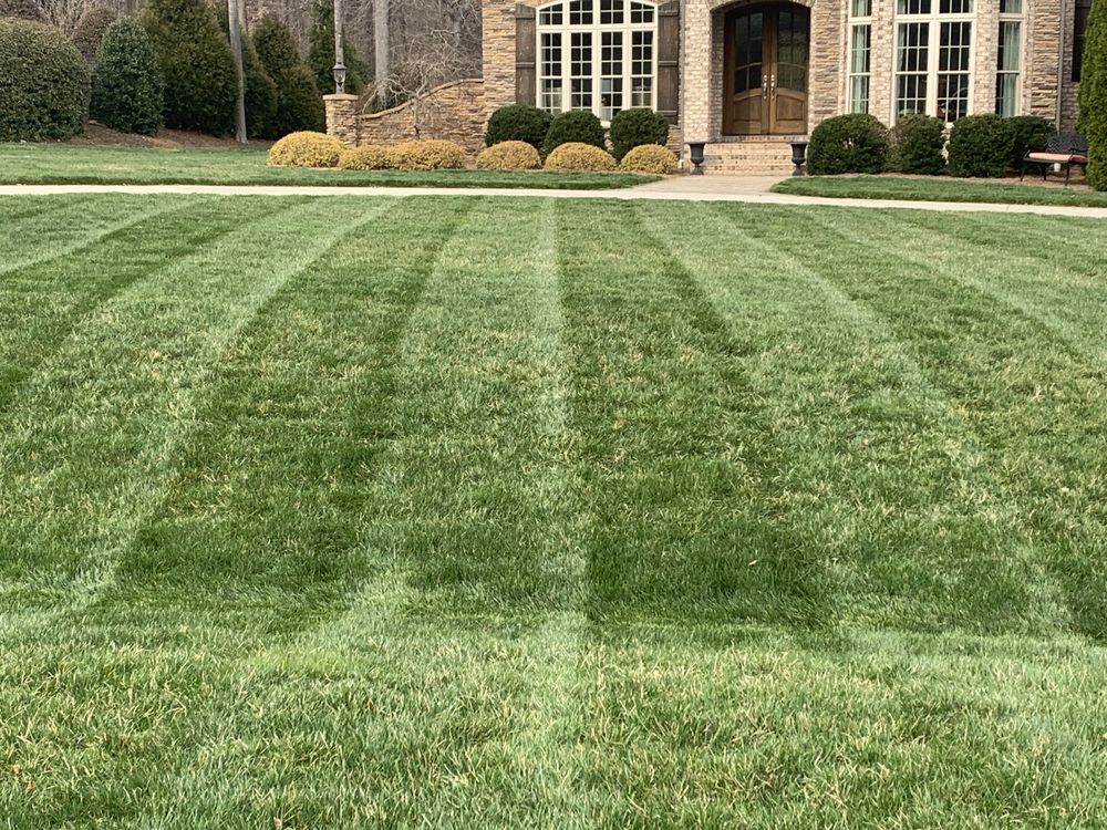 Rubio Landscape & Lawn Maintenance