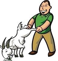 Sean's Lawn Care